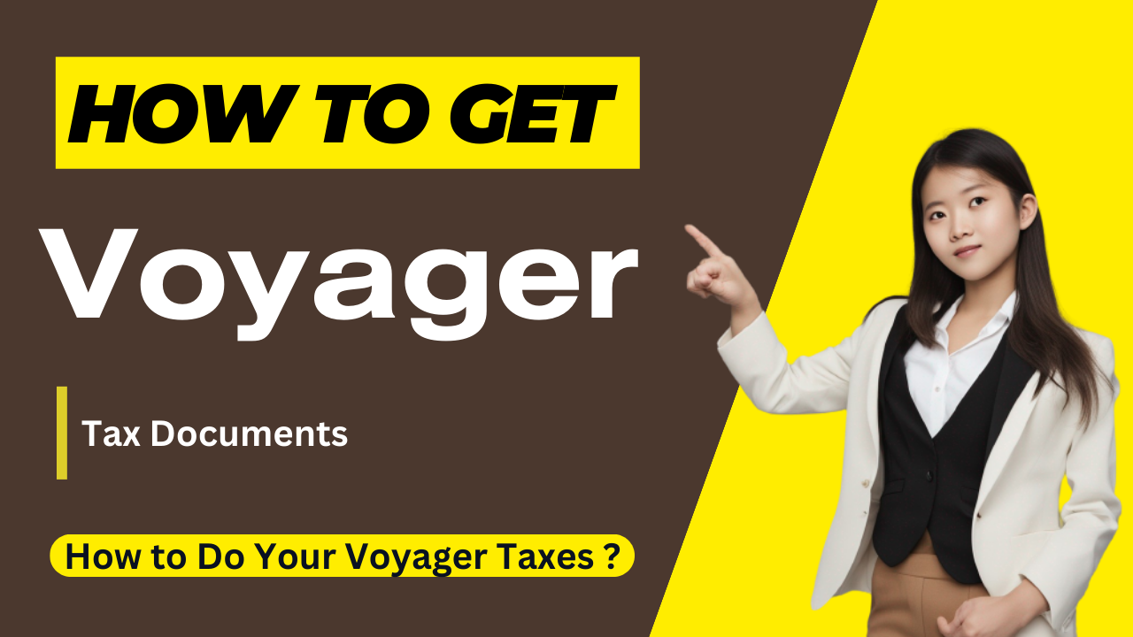 voyager tax report